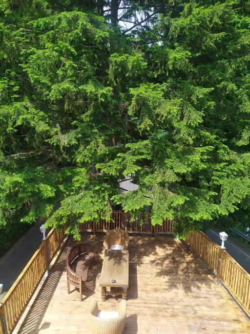 Haus Am Wald Zorge 16+ Gaeste Walkenried Exterior foto
