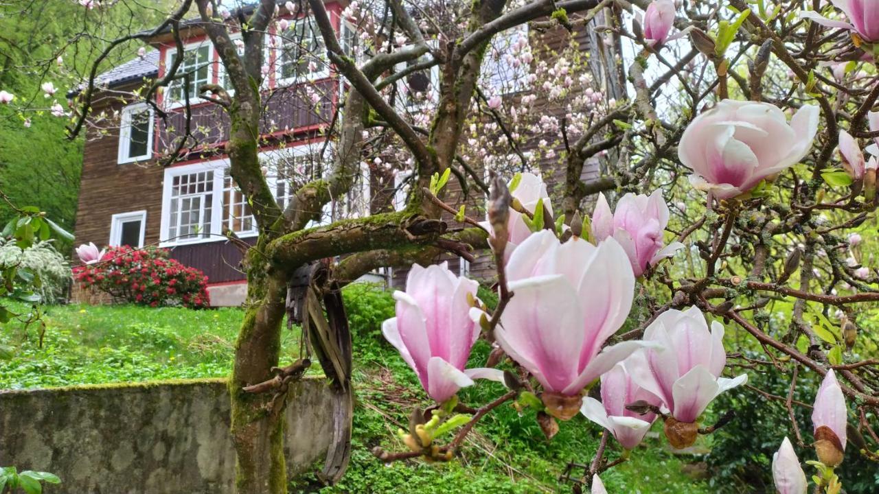 Haus Am Wald Zorge 16+ Gaeste Walkenried Exterior foto